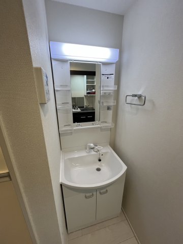 カーサソラーナ0208号室 洗面