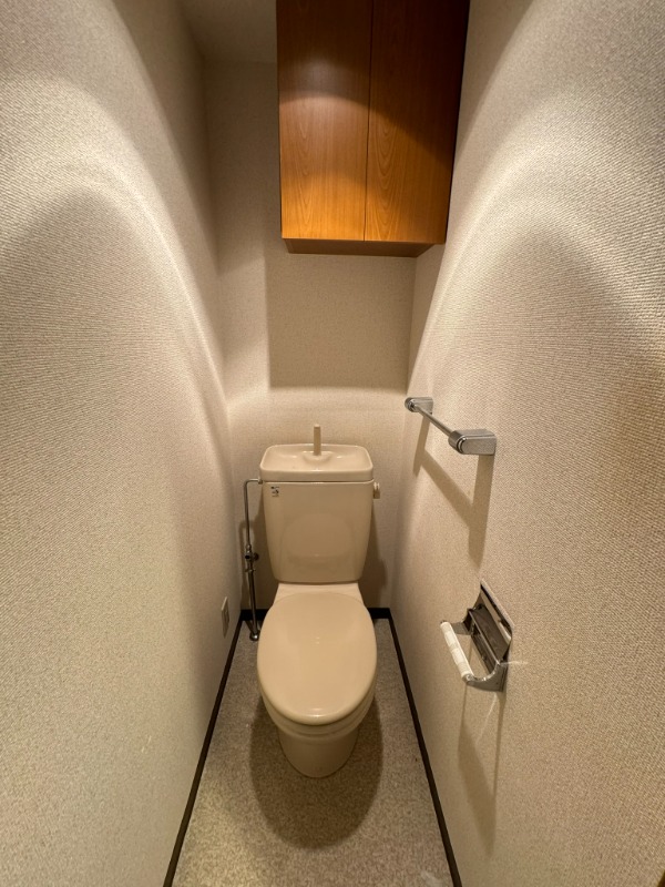 グランピーノ妙典(D-013)4階 トイレ