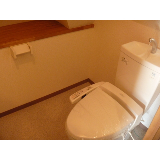 リヴェール睦　白山0501号室 トイレ