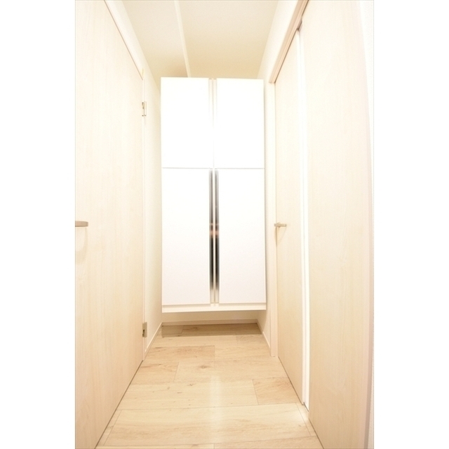 CASA FIORE 亀戸0201号室 内観