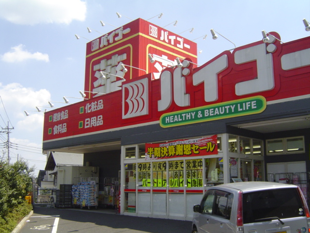 ヒーリングカーサⅡ ドラッグストアー　バイゴーまで9,000ｍ