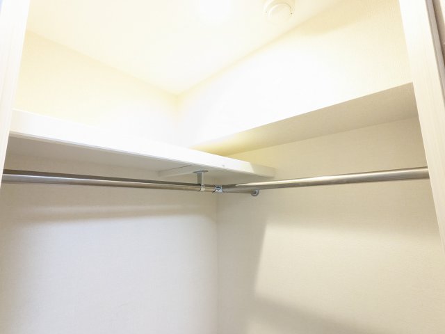 ケーディーエックスレジデンス豊洲201号室 収納