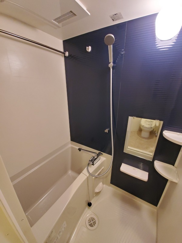 スカイコート武蔵新田Ⅱ お風呂