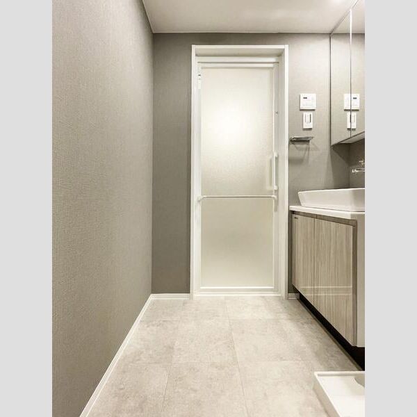 S-RESIDENCE駒沢大学駅前201号室 洗面