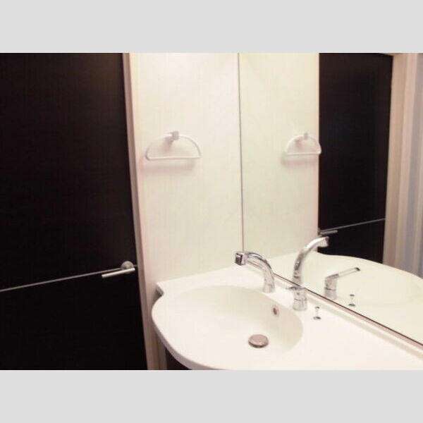 グラン・マーキュリー202号室 ドレッサータイプ