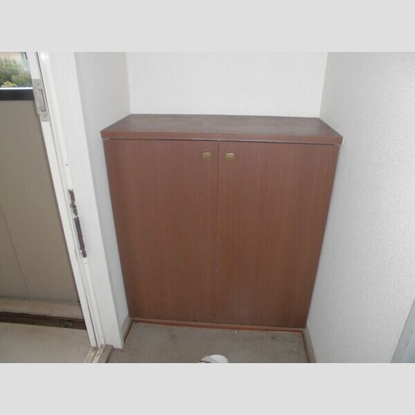 サンハイツ光ヶ丘203号室 玄関