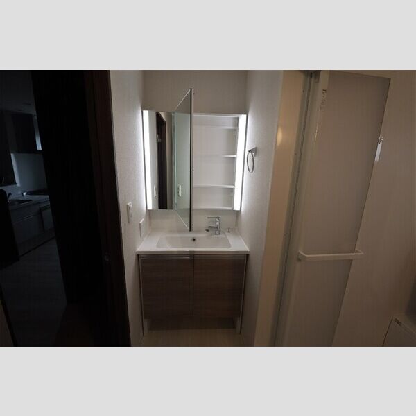 サリサ.k203号室 洗面台