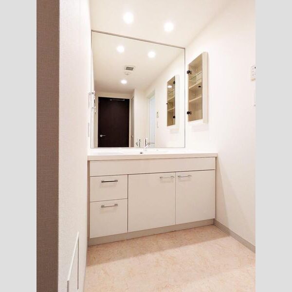 S-FORT横浜青葉台508号室 洗面