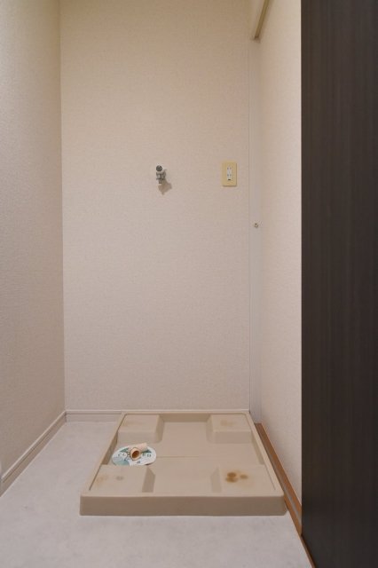 レガリアタワーレジデンス9階 室内洗濯機置場