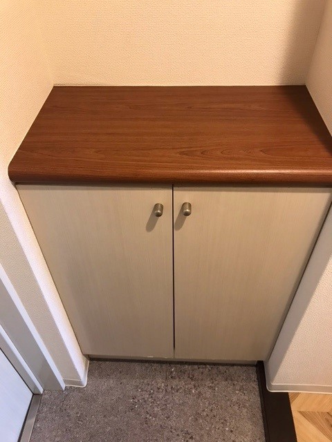 ＫＥＮＺＯ　ＨＡＵＳ　ＥＫＯＤＡ0903号室 収納