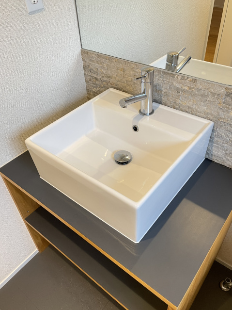 OWN APARTMENT 一之江101号室 洗面