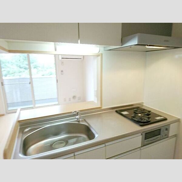 レイクガーデン305号室 キッチン