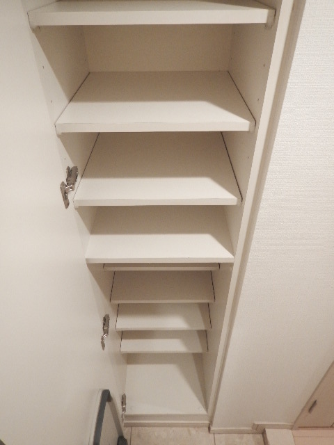 グランド・ガーラ銀座10階 たっぷりとした収納スペースです