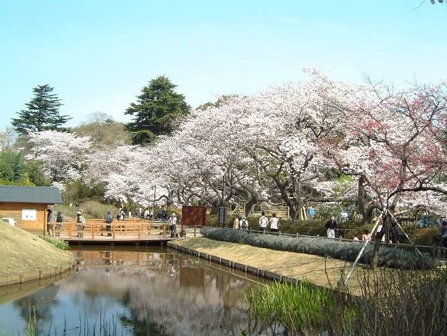 ミネルバＢ棟 清水公園まで598ｍ