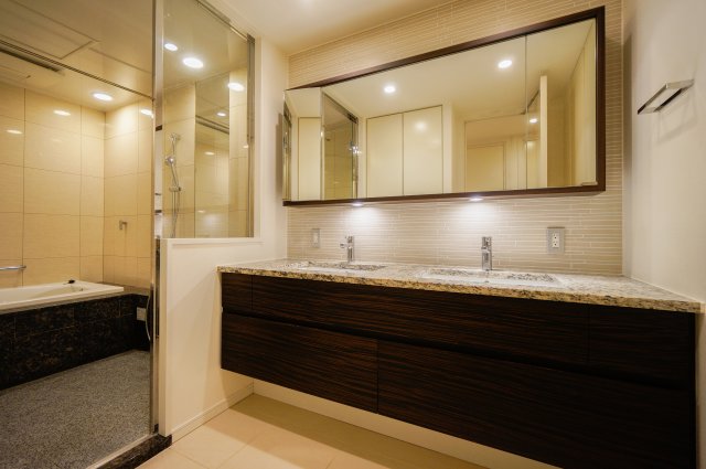 グランドメゾン代沢 洗面