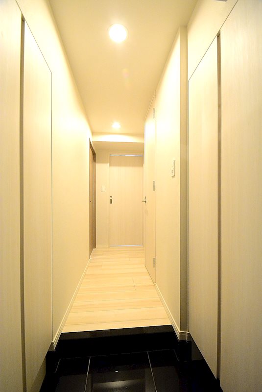 ステージグランデときわ台アジールコート8階 玄関