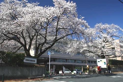 ブランシェ　友田 青梅市立総合病院