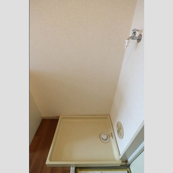 グリーンプラザ　A105号室 室内洗濯機置場