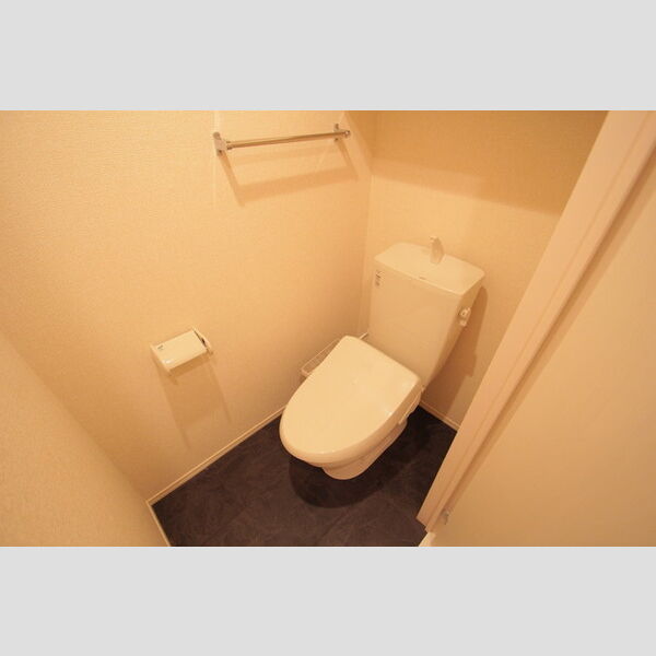 GOLDEN RINGS　12(ゴールデンリングスワンツー) トイレ