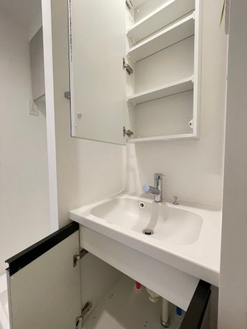 DIPS野方RESIDENCE503号室 洗面