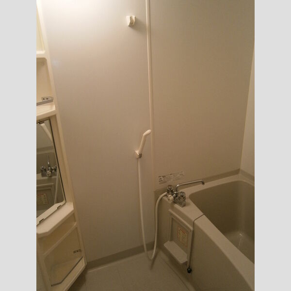 アレーナスM 浴室