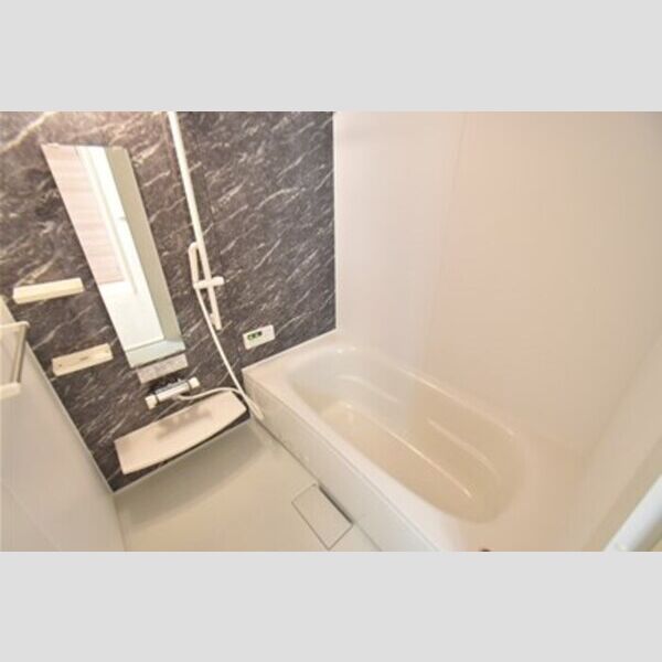 セシリエール バス