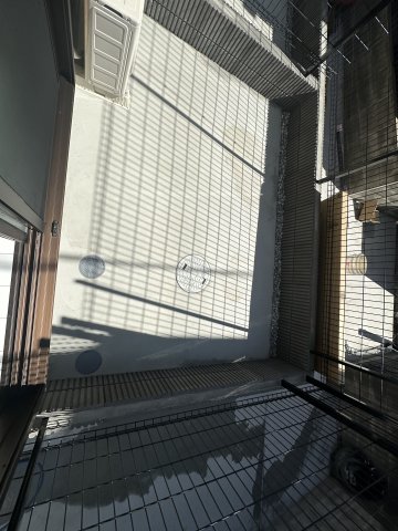 ジョーパレス鵠沼海岸101号室 バルコニー