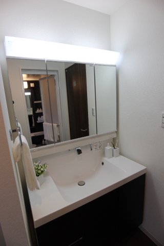 ミレニアムガーデンコート406号室 洗面