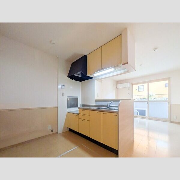 フェニックス　EFF101号室 キッチン