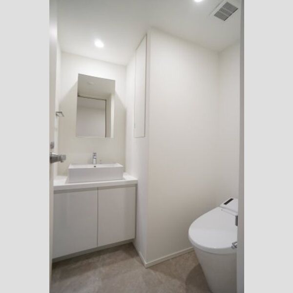 プライムメゾン森下WEST410号室 洗面所