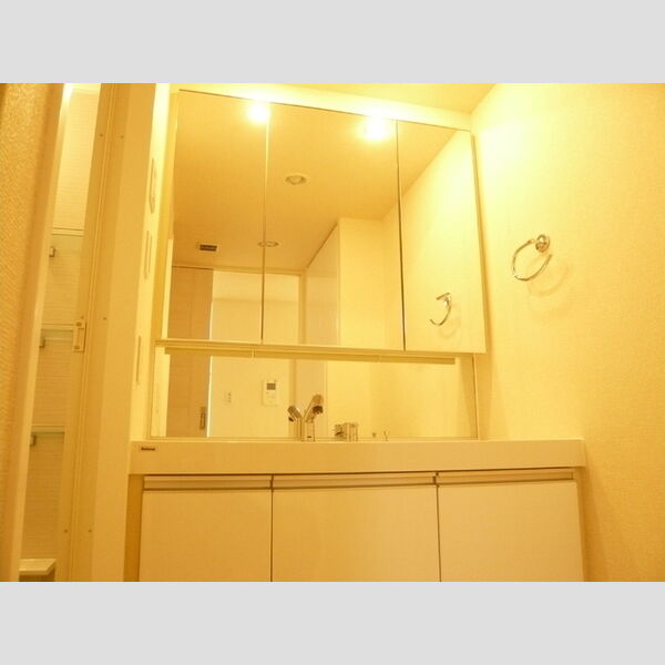 ハートビートベース横濱根岸101号室 洗面