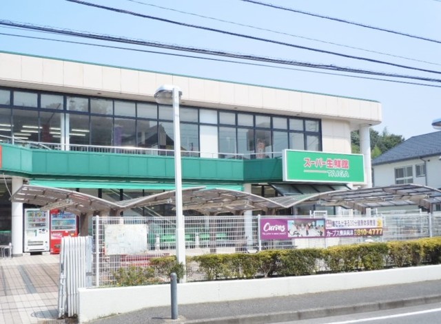 サニーヒル山手台0301号室 【デパート】スーパー生鮮館TAIGA岡津店まで803ｍ