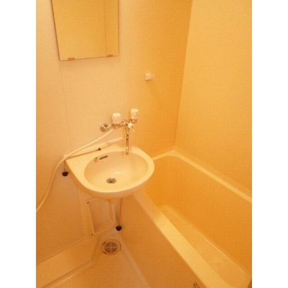 コーポ望月0101号室 洗面台　バス