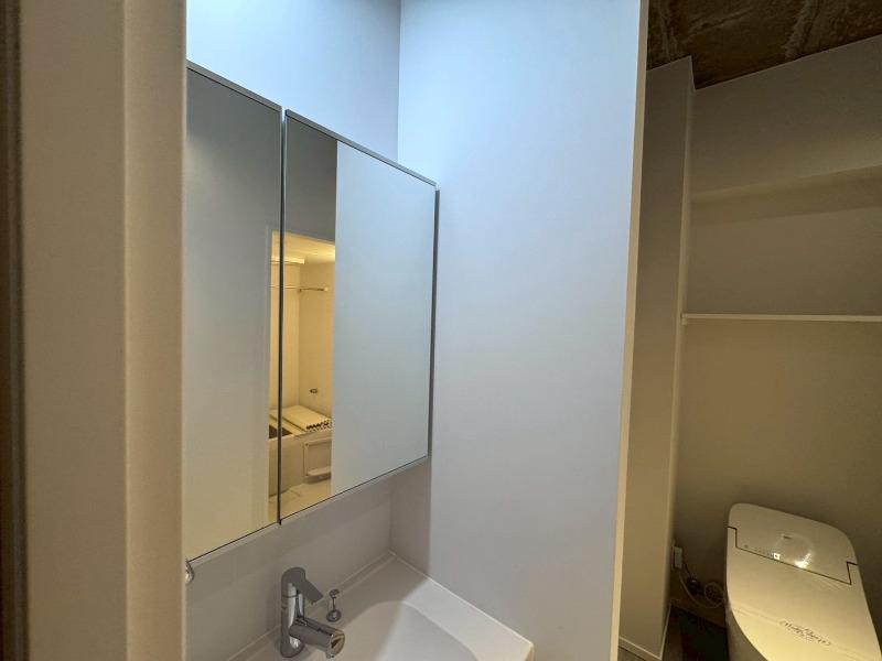 ドムス・スタイル押上4階 洗面