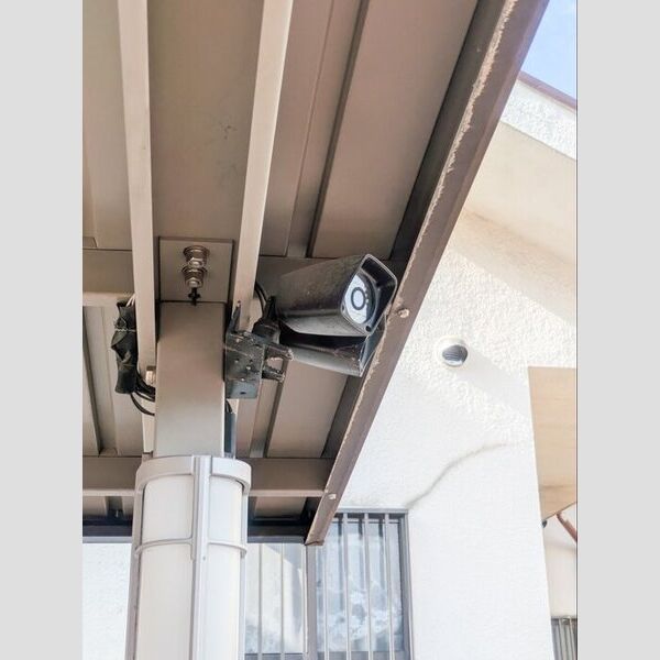 ルピナス　A 周辺