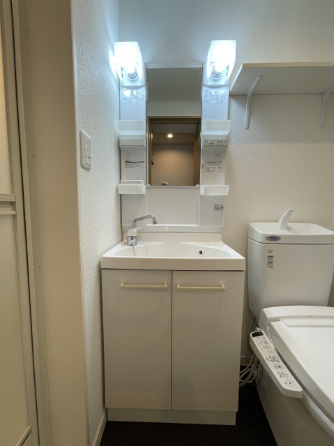 ルクール氷川台104号室 洗面