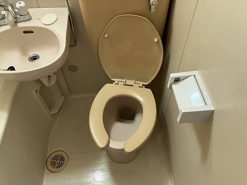 川崎ダイカンプラザＣｉｔｙ２ トイレ