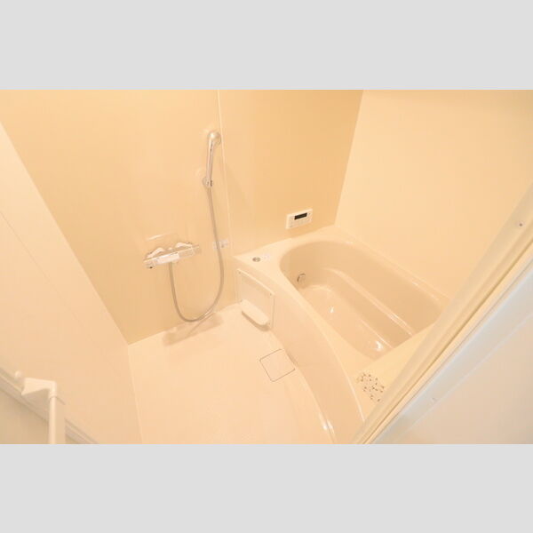 D Paina 中野島Ⅱ305号室 浴室