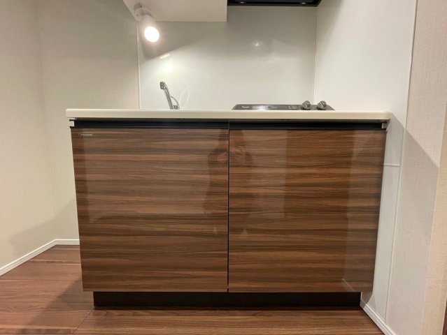 DIPS大山東町303号室 キッチン