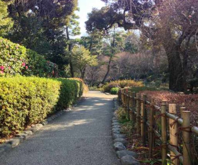 コンシェリア早稲田Ｇｒｅｅｎ Ｆｏｒｅｓｔ 【公園】甘泉園公園まで913ｍ