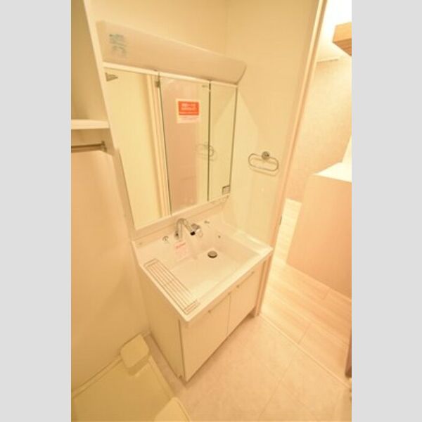 エミグランド愛甲石田105号室 洗面所