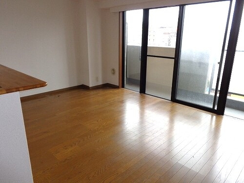 リヴィエルバーグ西大島 LD　同タイプ別部屋2018年6月撮影