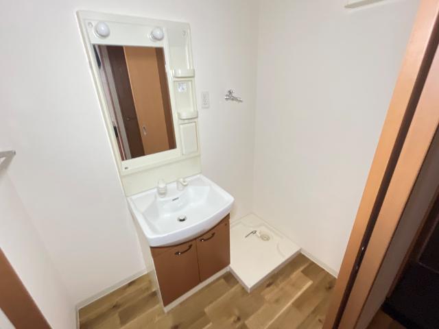 ＡＱＵＡ　ＢＬＯＷ（アクアブロー）101号室 洗面