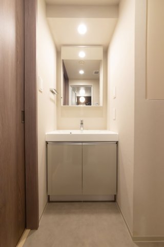 プラウドフラット品川大井町316号室 洗面