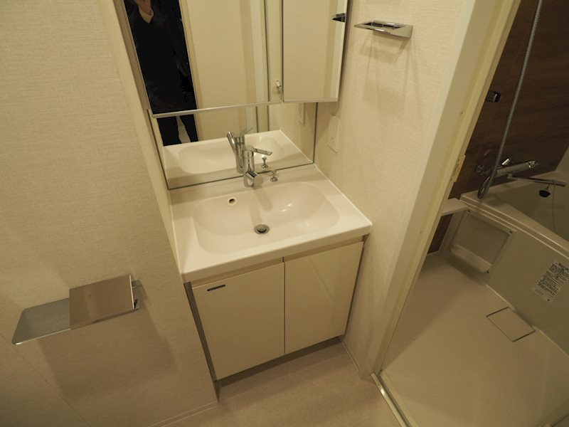 ワンルーフレジデンス上野御徒町3階 洗面