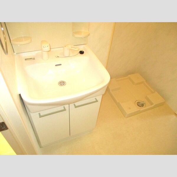 スプリングフォレスト　A 洗髪洗面化粧台、室内洗濯機置場