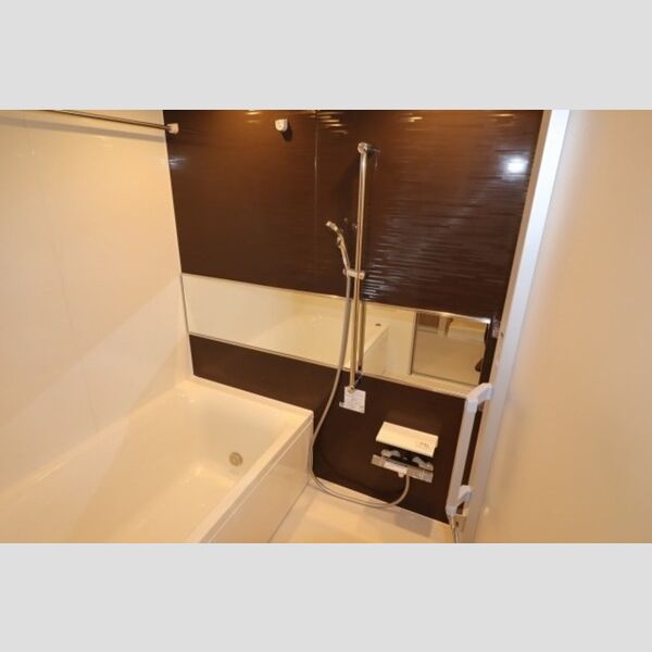 サンジョイアゼロ309号室 浴室