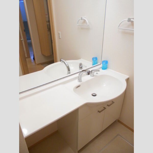 レフィナード(川越的場)101号室 洗面所