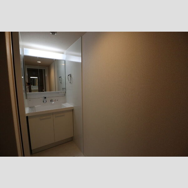 グリーンゲート 洗面所