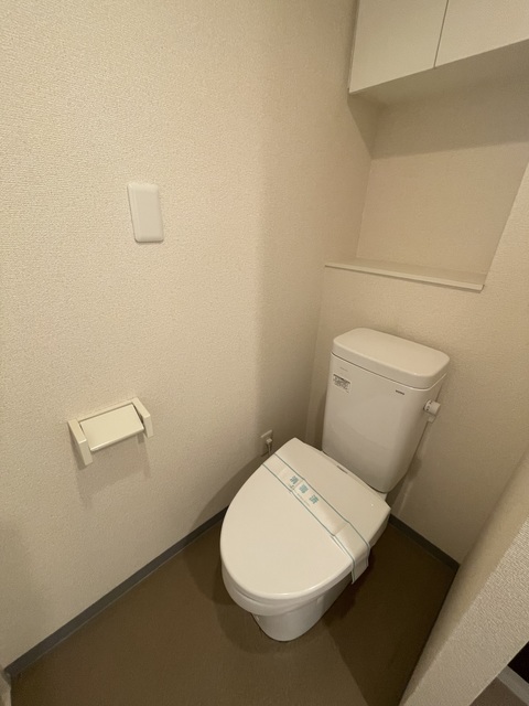 グリーンフラッツ0203号室 トイレ